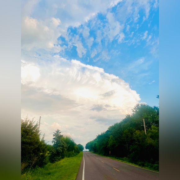 Meet your Posher, Sunny - Picture 3 of 7